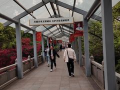 -杭州市第三人民医院