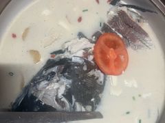 -全乐鱼馆·淳牌有机鱼直营店