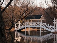 -上海共青森林公园