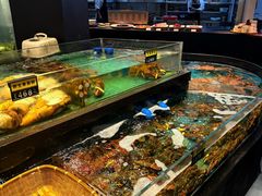 -龙宴海鲜城(经中路店)