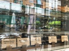 -Madeleine玛德琳(永平里店)