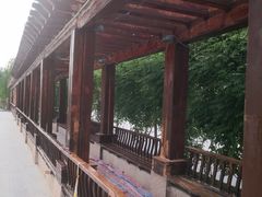 -雁滩公园