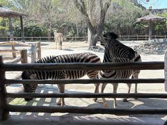 -上海野生动物园