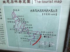 -山王坪喀斯特国家生态公园
