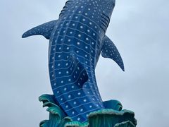 -珠海长隆海洋王国