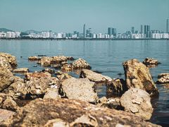 -深圳湾公园(南山区)