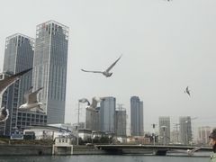 -马栏河运动公园