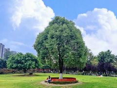 -成都中医药大学(温江校区)