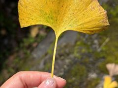 -重庆中央公园(渝北区)