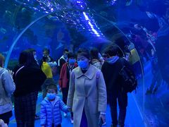 -哈尔滨波塞冬海底世界