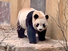 -杭州动物园