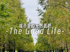 -嘉北郊野公园