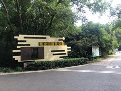 -灵谷景区