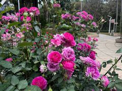 -人民公园(罗湖区)