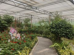 -南宫五洲植物乐园