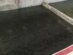 -小象钓虾·营地烧烤(洛溪店)