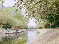 -海棠花溪(元大都城垣遗址公园)
