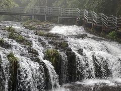 -龙苍沟森林公园