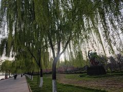 -咸阳湖景区