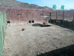 -新疆天山野生动物园