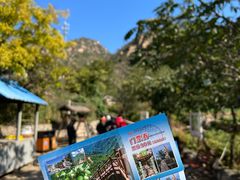 -大岭沟猕猴桃谷风景区