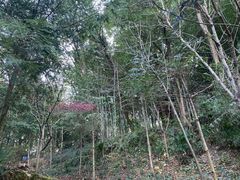 -上海佘山国家森林公园天马山园