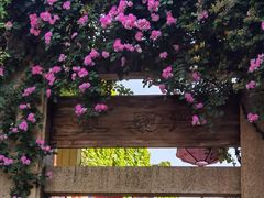 -老门东历史文化街区