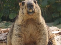 -泉州海丝野生动物世界