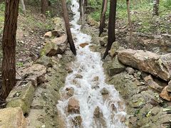 -腊山国家森林公园