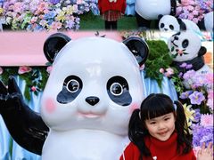-灵玲国际马戏城