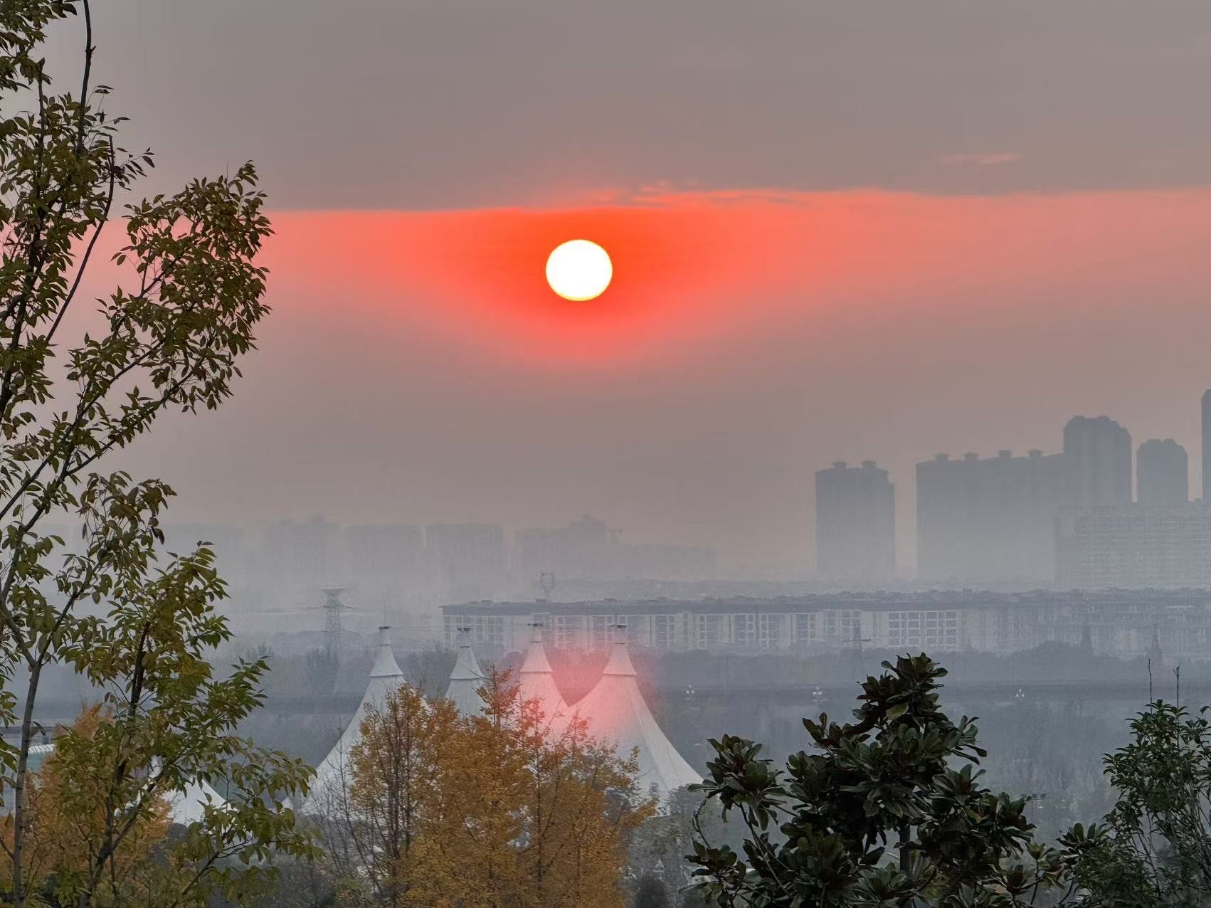 早上的太阳真美
