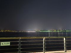 -八方后身麻辣鸡块(总店)
