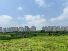 -洋湖国家湿地公园