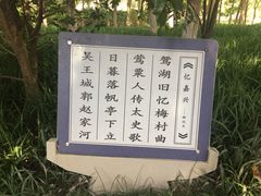 -范蠡湖公园