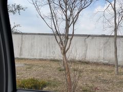 -安飞驰驾校·学车连锁(金高店)