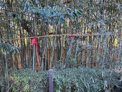 景点-金孔雀温泉旅游度假村