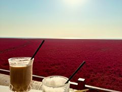 -红海滩国家风景廊道