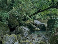 -龙苍沟森林公园