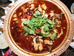 -沪小二炭火蛙锅(淮海中路美食不夜城店)