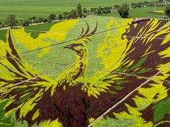 -稻梦空间冰雪小镇