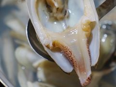 -凯华海鲜火锅·传承三十六年