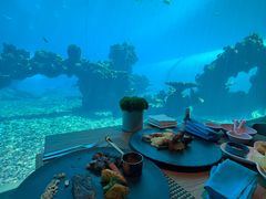-涛·海底餐厅·美人鱼·自助餐·海底隧道(三亚海棠湾洲际度假酒店)