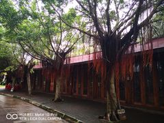 -白沙门生态公园