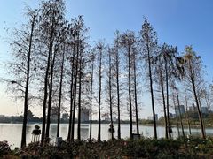 -顺峰山公园