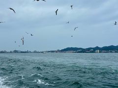 -刘公岛景区