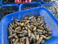 -鸿旺海鲜楼(平潭流水店)