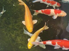 -贵阳高新惠诚食品有限公司