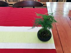 -MAP CHA普洱茶馆(翠湖店)