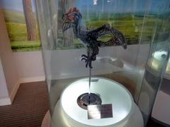 -辽宁古生物博物馆