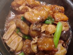 石锅焗石斑鱼腩-陶陶居酒家(环市东店)